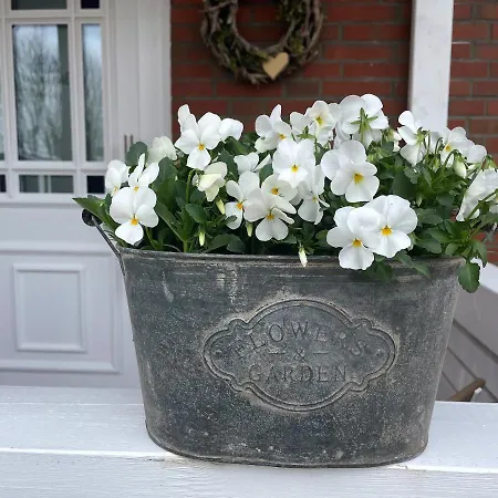 Friesen-lodge 公寓 Breklum